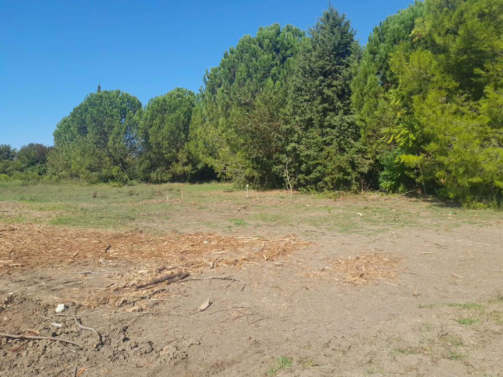vente Terrain - 523 m² Morières-lès-Avignon (84310)