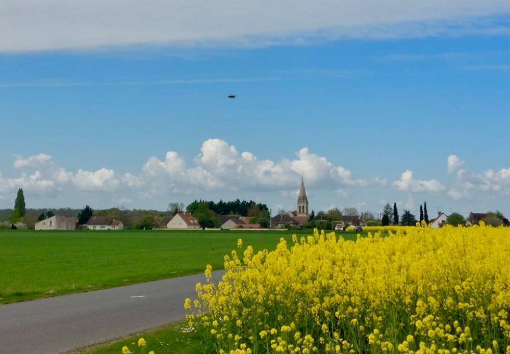 vente Terrain - 346 m² Moisenay (77950)