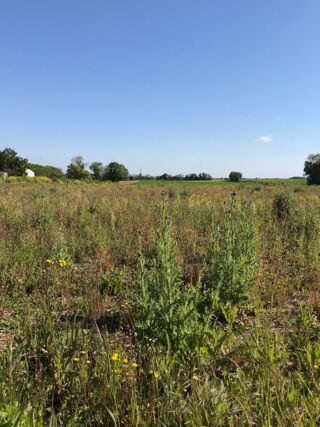  Terrain � vendre 448 m�