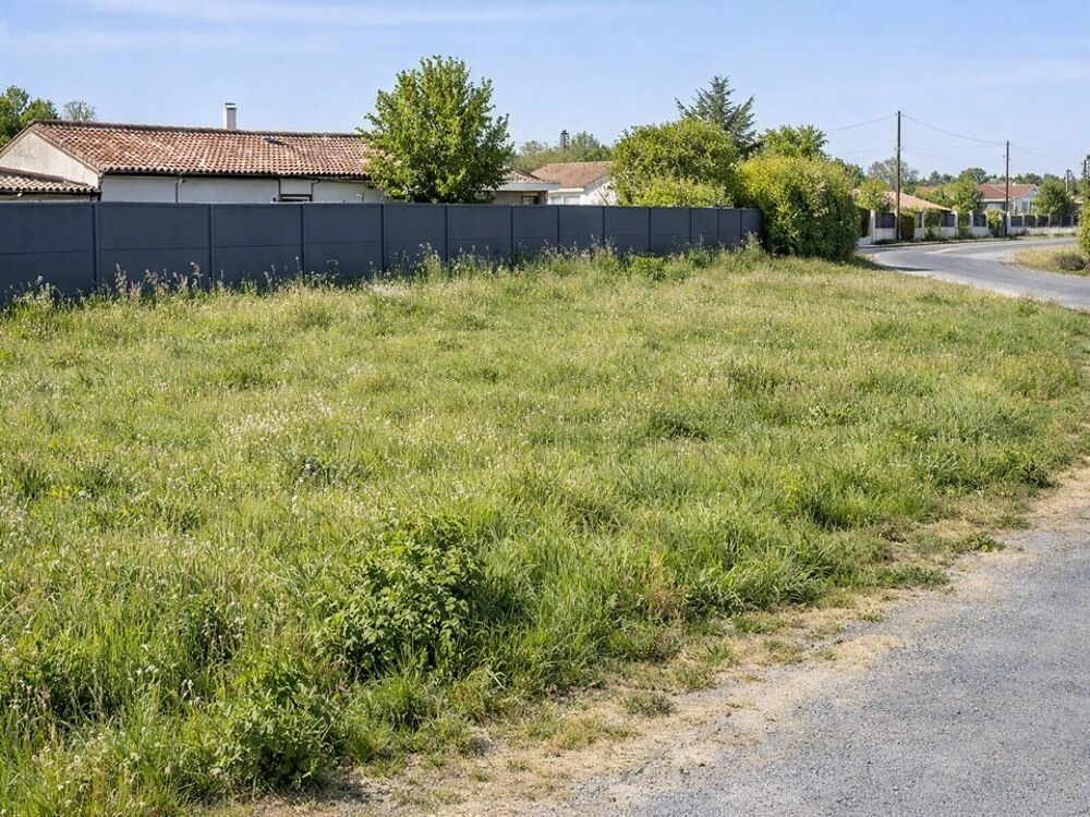 vente Terrain - 3115 m² Saint-Savin (33920)