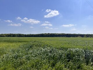  Terrain � vendre 864 m�