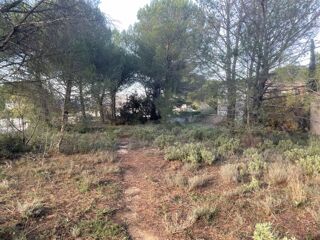  Terrain 901 m� Alleins