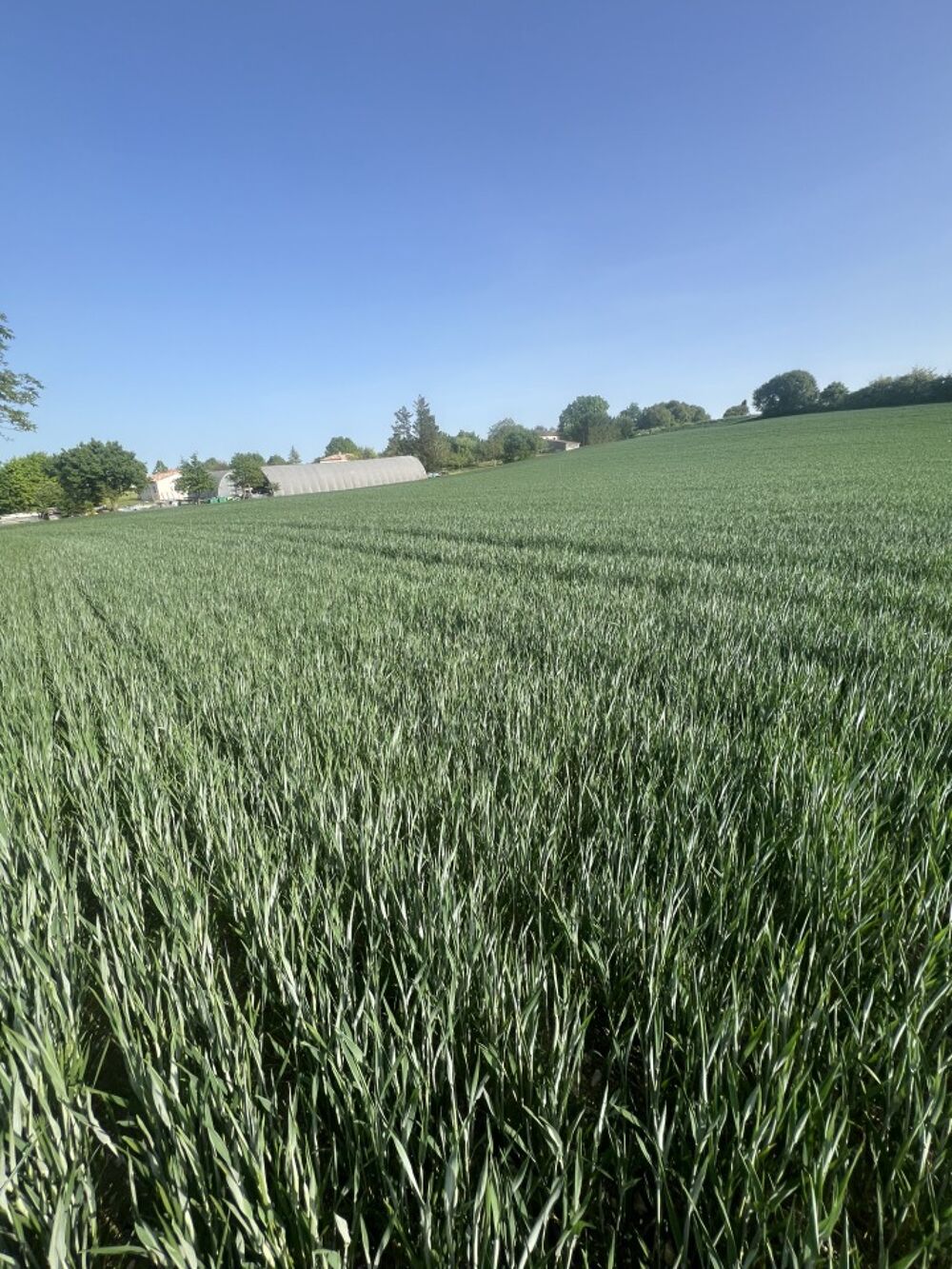 vente Terrain - 2140 m² Castelnau-Montratier (46170)