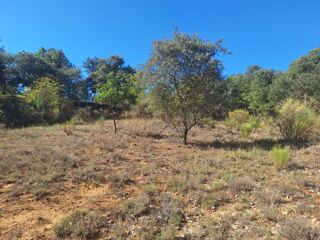  Terrain à vendre 501 m²