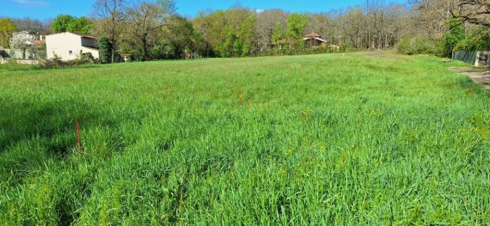 vente Maison - 5 pièce(s) - 130 m² La Salvetat-Saint-Gilles (31880)