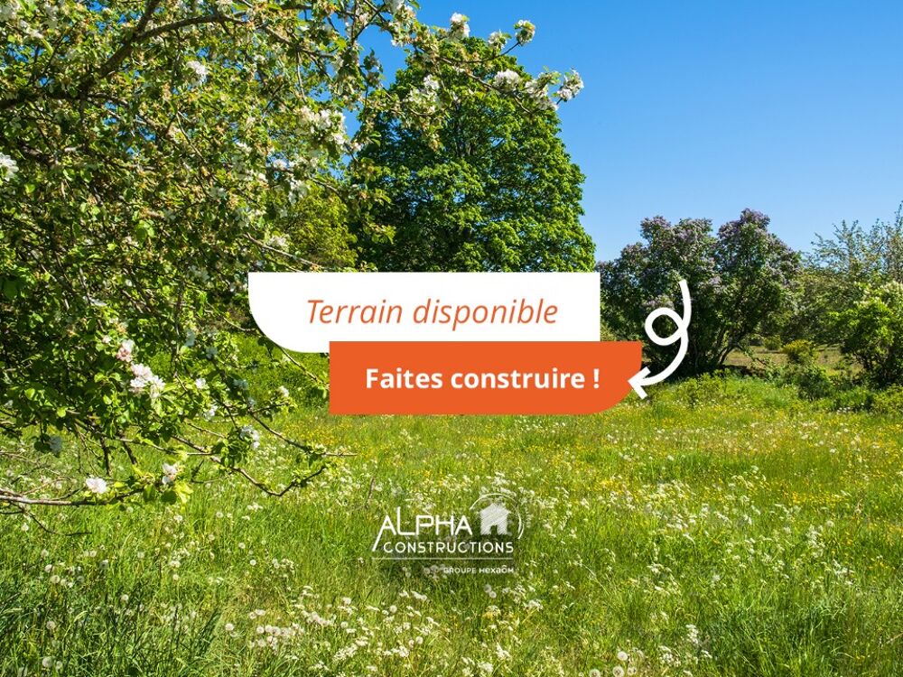 *Votre futur projet prend racine ici ! Imaginez....