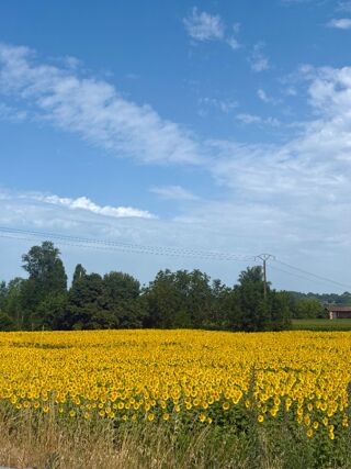  Maison 4 pi�ces 104 m� Portets