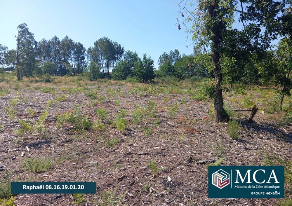 vente Terrain - 410 m² Salles (33770)