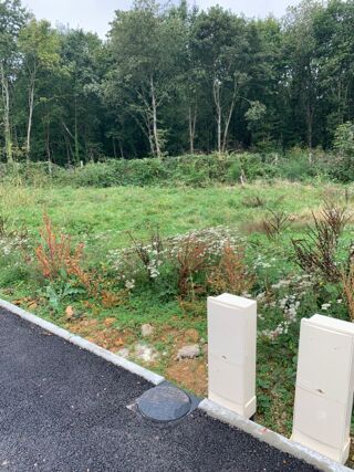  Terrain 336 m� Baulne
