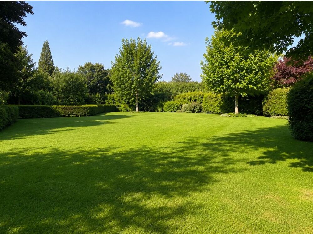 vente Terrain - 240 m² Tourves (83170)