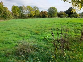 vente Maison - 6 pièce(s) - 118 m² Annebault (14430)