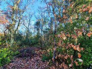  Terrain � vendre 1097 m�