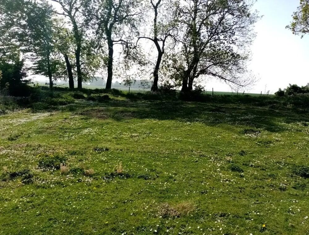 MAISON À CONSTRUIRE DE 114 M² À GRAINVILLE-LA-TEINTURIÈR....