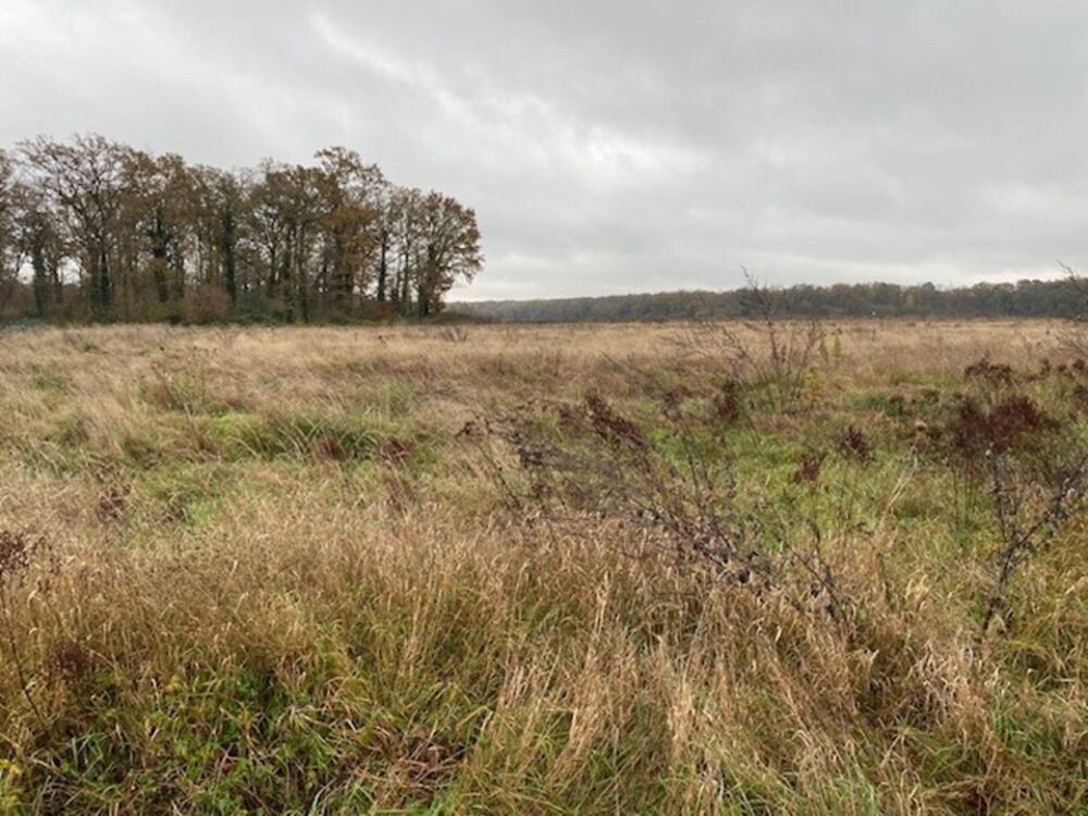 🏡 PONTARMÉ (60) - PROJET DE CONSTRUCTION 105 m² ....
