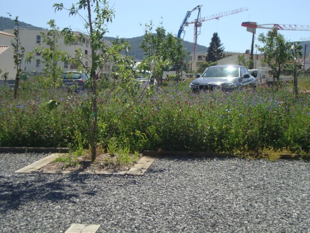 HYERES LES PALMIERS, offrez vous votre maison pour le pr....