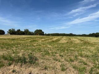  Terrain � vendre 955 m�