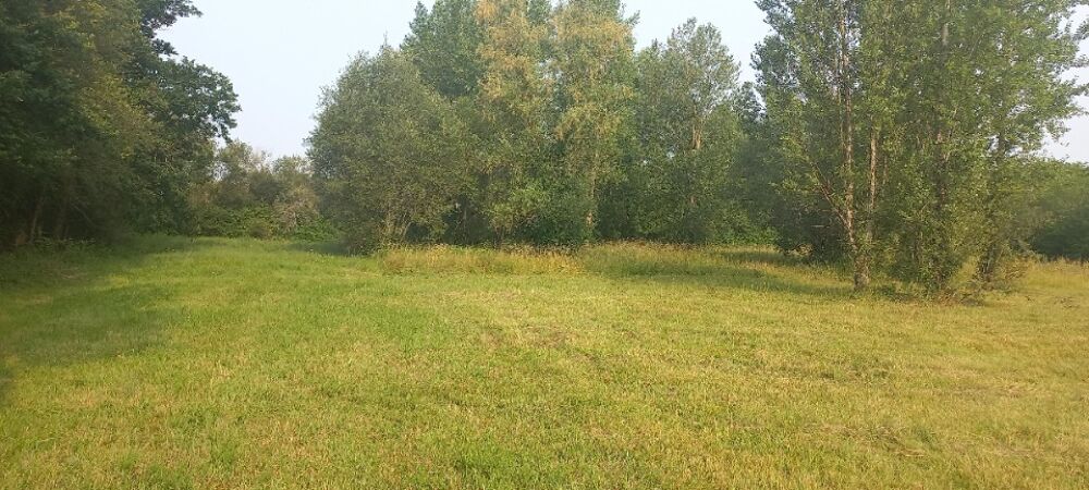 vente Terrain - 1690 m² Ménesplet (24700)