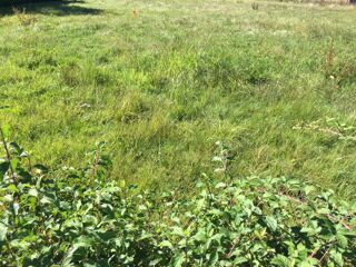  Maison 2 pices 50 m Servas