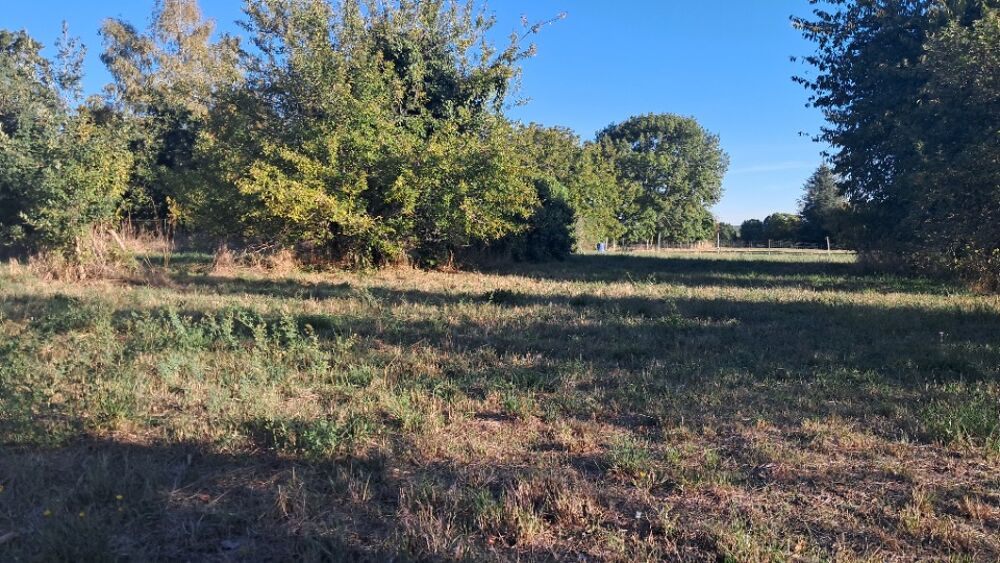 vente Maison - 4 pièce(s) - 90 m² Ozillac (17500)