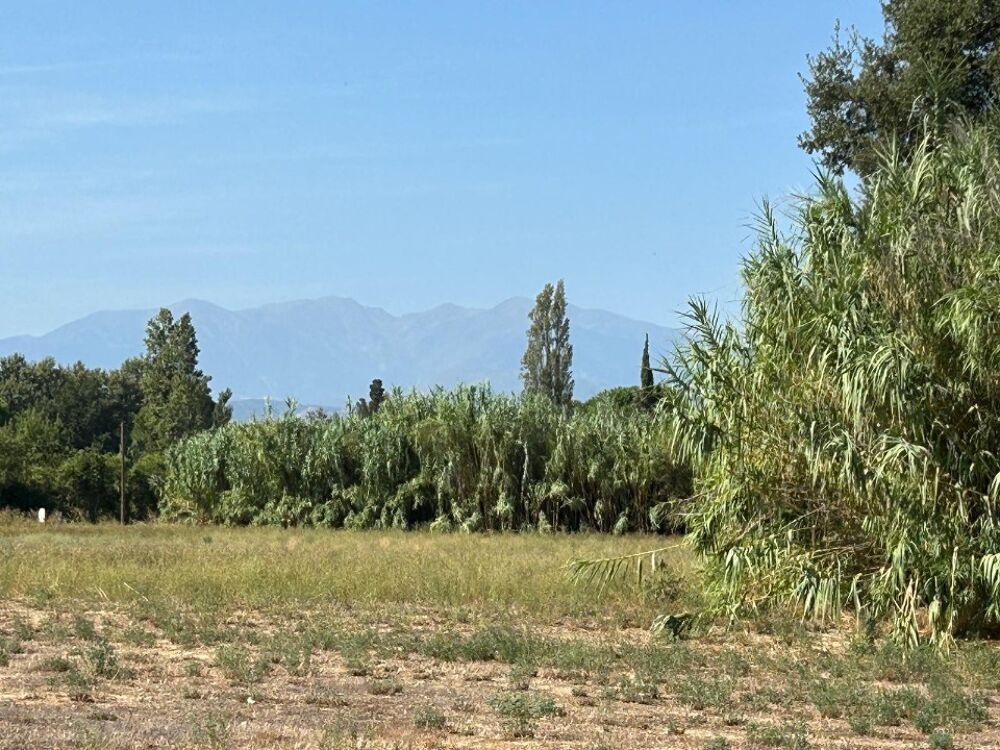 vente Terrain - 530 m² Villeneuve-la-Rivière (66610)