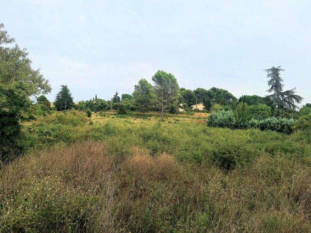 vente Terrain - 1246 m² Apt (84400)