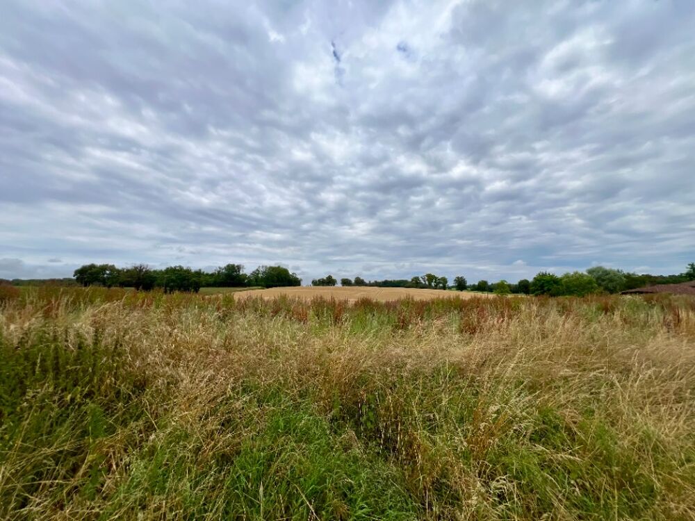 vente Terrain - 600 m² Saint-Martin-le-Châtel (01310)