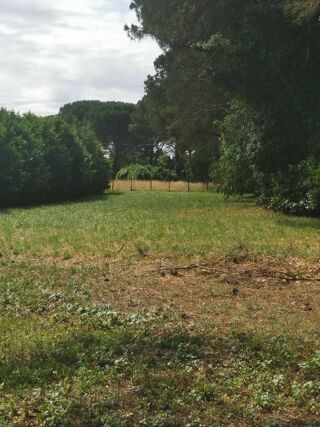  Maison à vendre 3 pièces 85 m²