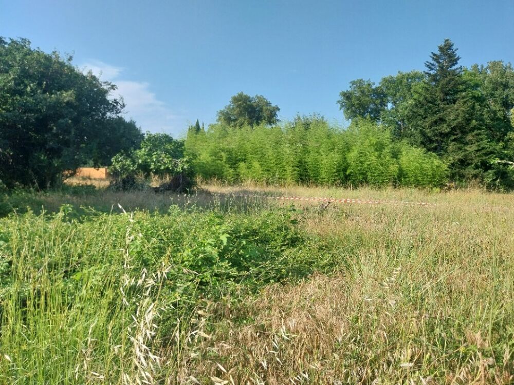 vente Terrain - 1100 m² Saint-Raphaël (83700)