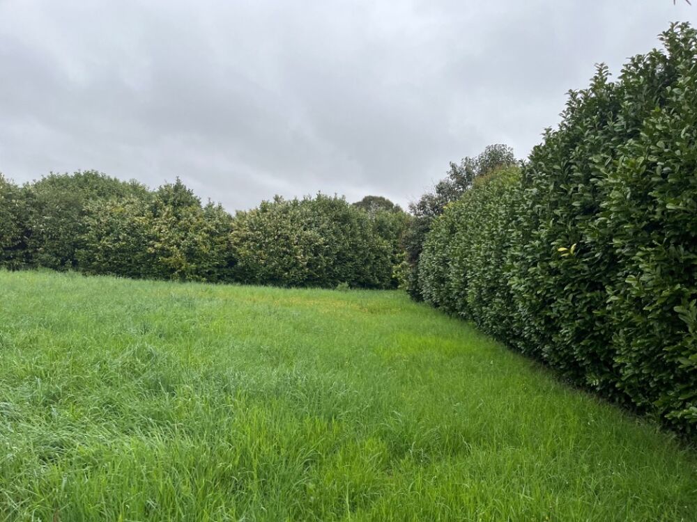 vente Terrain - 555 m² Loriol-sur-Drôme (26270)