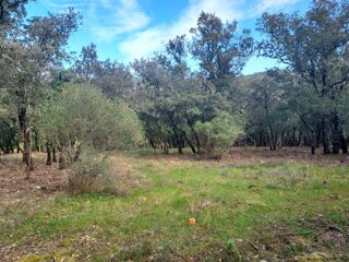  Terrain � vendre 967 m�