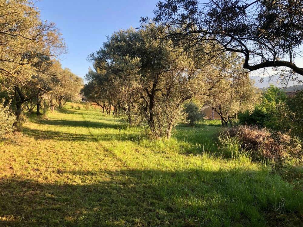 vente Terrain - 886 m² Apt (84400)