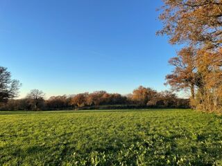  Terrain 1076 m� Sainte-gemme