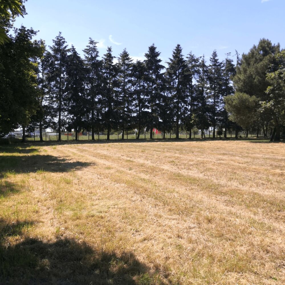 RARE À BOURGBARRÉ : TERRAIN DE 1 300 M² + MAISON DE 130 ....
