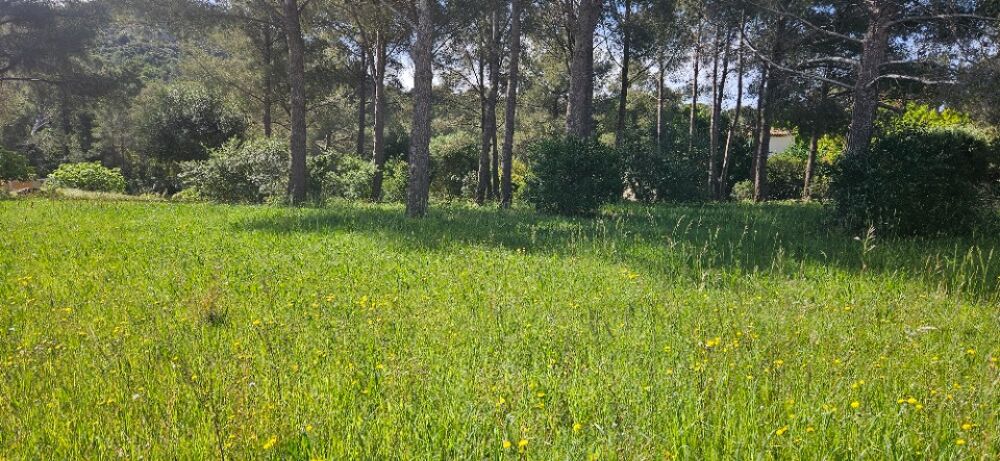 vente Terrain - 1500 m² Saint-Raphaël (83700)