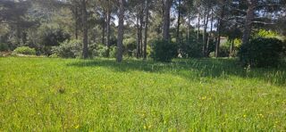  Terrain à vendre 1500 m²