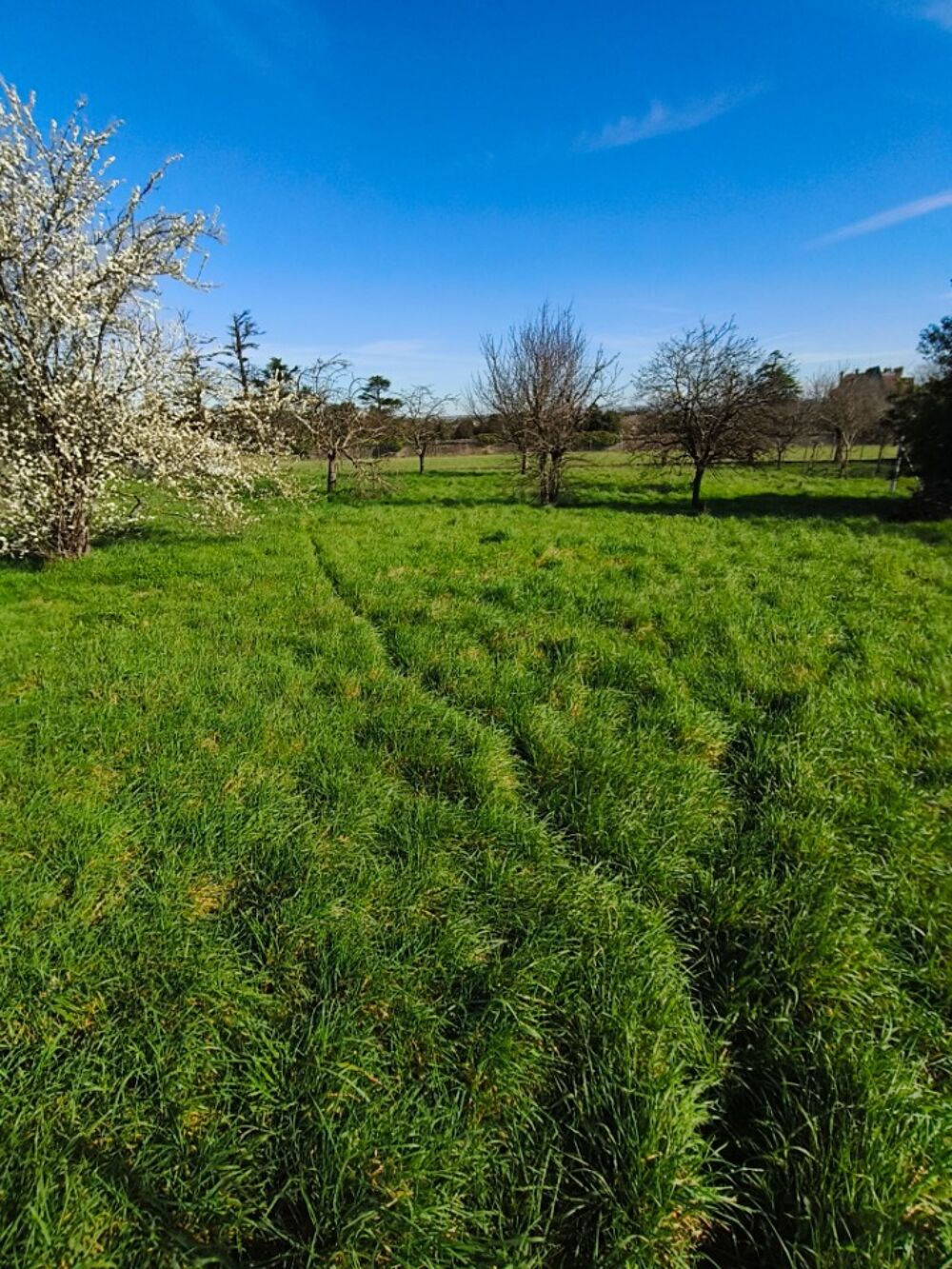 vente Maison - 4 pièce(s) - 100 m² Houlette (16200)