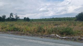  Terrain � vendre 605 m�