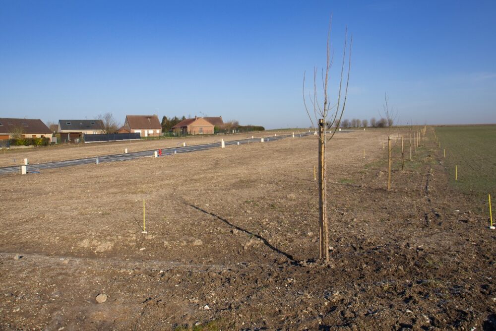 vente Terrain - 464 m² Aubigny-au-Bac (59265)
