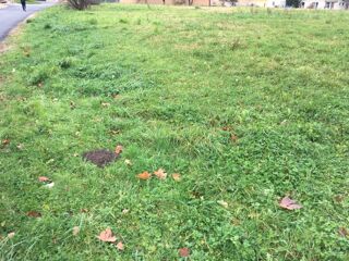  Maison 5 pi�ces 140 m� Dompierre-sur-veyle