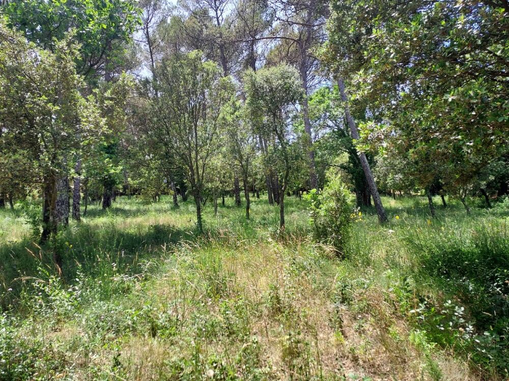 vente Terrain - 664 m² Garéoult (83136)