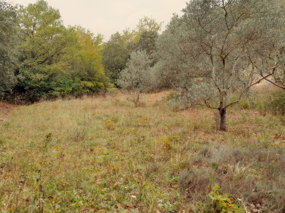 vente Terrain - 600 m² Saint-Maximin-la-Sainte-Baume (83470)