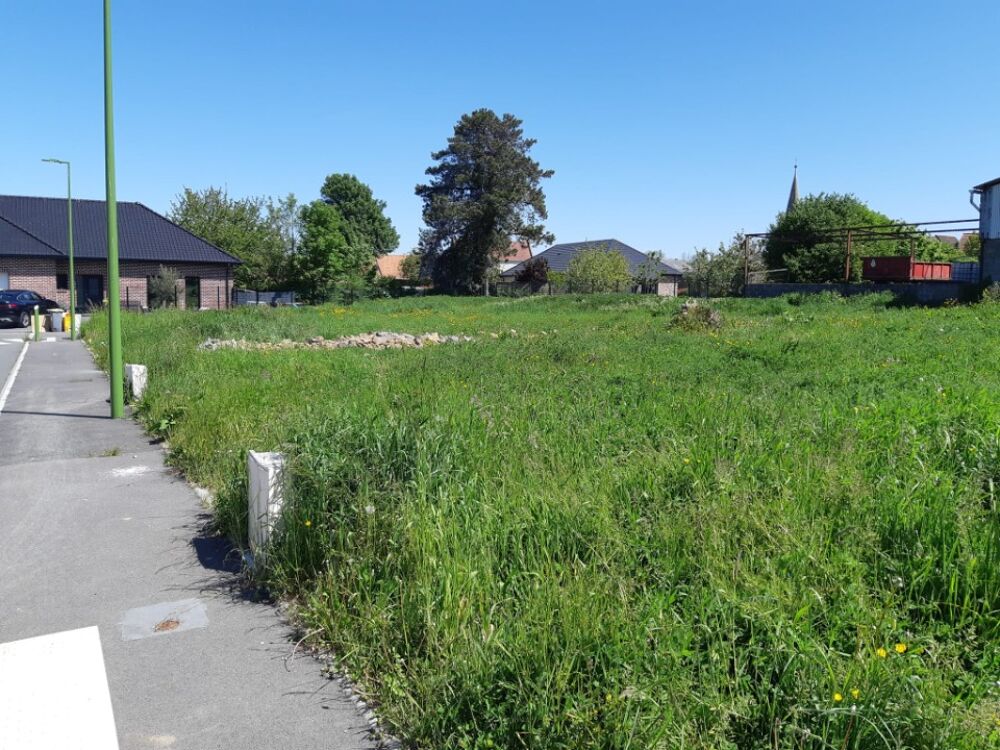 vente Terrain - 603 m² Bois-Bernard (62320)