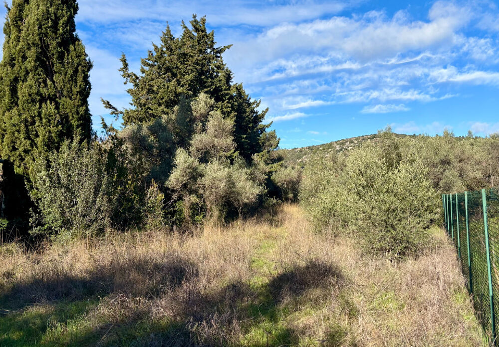 vente Terrain - 614 m² Saint-Jean-de-Fos (34150)