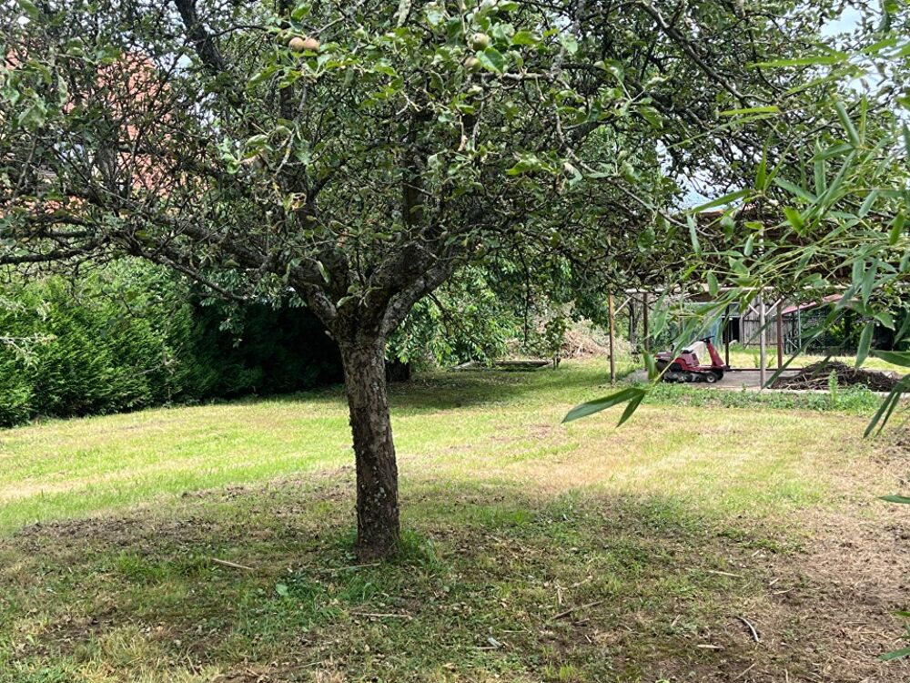 vente Terrain - 1300 m² Heiligenstein (67140)