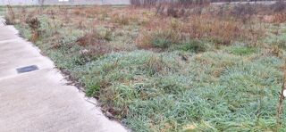  Terrain � vendre 514 m�