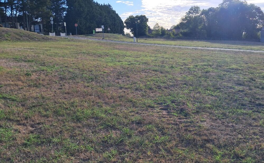vente Terrain - 638 m² Orignolles (17210)
