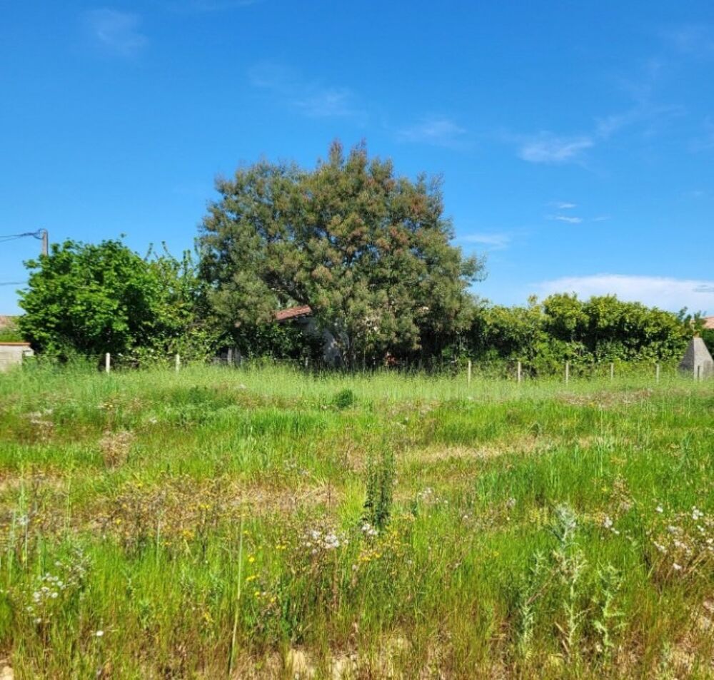 vente Maison - 5 pièce(s) - 130 m² Frouzins (31270)