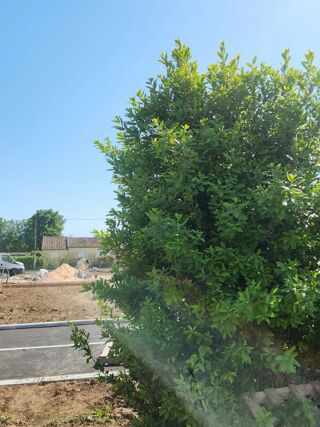  Maison � vendre 4 pi�ces 85 m�