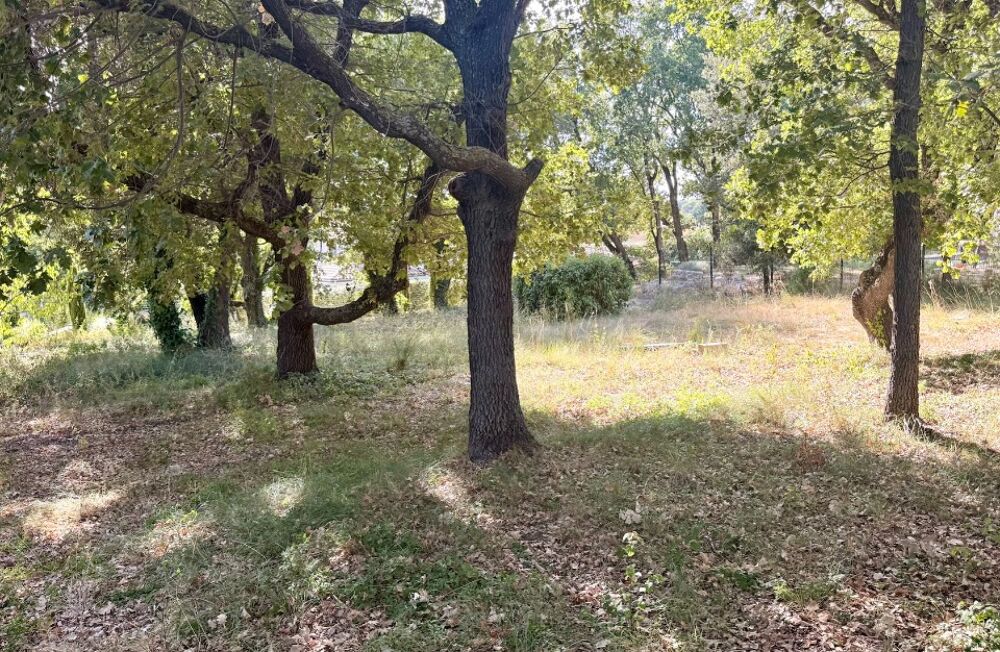 vente Terrain - 1089 m² Éguilles (13510)