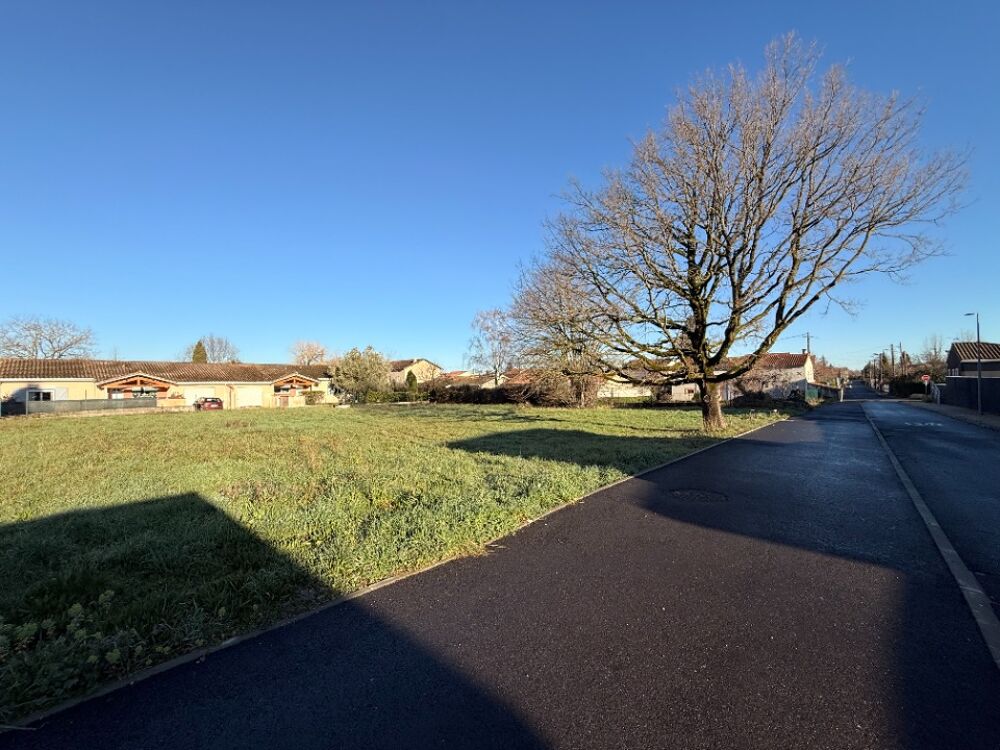 vente Terrain - 1300 m² Revel (31250)